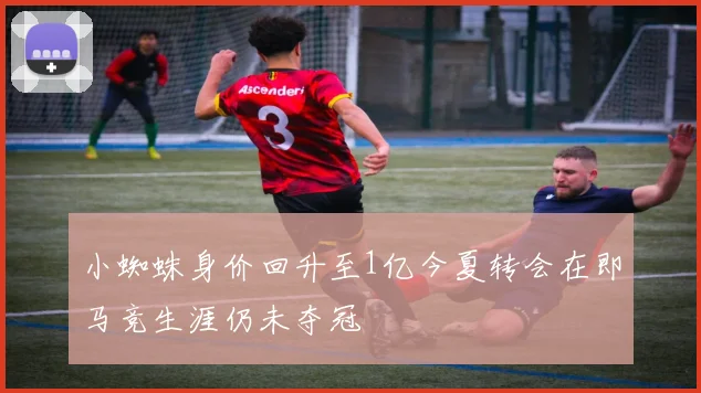小蜘蛛身价回升至1亿今夏转会在即马竞生涯仍未夺冠